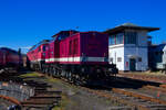202 646 Triangula abgestellt in Chemnitz-Hilbersdorf, 12.03.2022