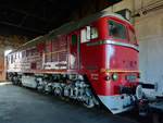 Die Diesellokomotive 120 269-6 und 219 003-1 Anfang April 2018 im Sächsischen Eisenbahnmuseum Chemnitz-Hilbersdorf.