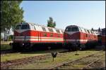 118 141 und 118 782 in Chemnitz-Hilbersdorf.