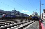 HAUPTBAHNHOF SIEGEN-E 10 1239/KLV UND DURCHFAHRENDE SBB-CARGO-LOK  Die bildschöne E10 1239 DB stand neben einem KLV des SWEM-SIEGEN am 28.5.2019  auf dem Nebengleis zum Ringlokschuppen SIEGEN,als