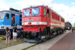 TEV 242 151-9 (91 80 6142 151-0 D-TEV) am 30.08.2025 beim 100-jährigen Jubiläum des Bahnbetriebwerks Erfurt.