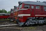 Der Triple-Trommel-Wumms am 30.05.26 zum Sommerfest beim TEV Weimar