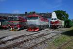 750 202 von KDS & T478 2006 (751 236) & 119 199 am 30.05.26 zum Sommerfest beim TEV Weimar