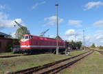 CLR 229 147-4 am 28.09.2019 beim Herbstfest im TBw Staßfurt.