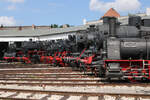 Zahlreiche Dampflokomotiven des BEM Nördlingen stehen am 17.08.2025 vor dem Lokschuppen im Bw Nördlingen, darunter 50 4073, 50 3600 und die Lok „Füssen“.