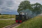 Lok  Plettenberg  des Deutschen Eisenbahnvereins am Ende des Anstiegs am Vilser Holz (06.07.2024)