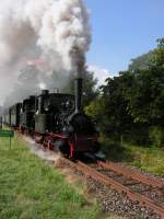 Die Lokomotiven  Franzburg  und  Spreewald  des DEV ziehen hier am 6.8.06 den Museumszug von Bruchhausen Vilsen nach Asendorf.