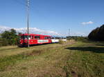 Der Schienenbuszug der Wisentatalbahn am Sonntag,dem 27.8.2017 als Gast beim Unstrutbahnfest.Hier verläßt er soeben -aus Artern kommend- den Bahnhof Donndorf in Richtung Roßleben.