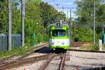 IGN Rhein Neckar Sonderfahrt mit dem Düwag GT8 516 in MVV Farben am 24.08.25 in Ludwigshafen