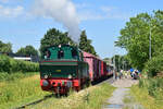 Der letzte Sommer f�r den Schluff. 98 8921 zieht einen Museumszug von H�lser Berg nach Sankt T�nis. Hier verl�sst der Zug gerade den Bahnhof H�ls.

Die Lok wurde 1949 f�r das Kraftwerk Graf Bismarck in Gelsenkirchen von Henschel in Kassel gebaut. 1979 wurde die Lok vom Eisenbahnmuseum Bochum �bernommen und ist seitdem auf der Strecke um Krefeld unterwegs. Um B�schungsbr�de zu vermeiden wurde die Lok von Kohle auf Leicht�lfeuerung umgebaut. 

Leider ist dies der wohl letzte Sommer f�r den Schluff da die Strecke mittlerweile marode ist und kein Geld f�r eine Instandsetzung verf�gbar ist. 

Krefeld H�ls 21.06.2026