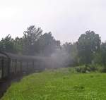 86 333 (vom Rauch verdeckt) mit DPN4 zwischen Zollhaus-Blumberg und Weizen, 12.8.07.