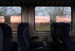 Irgendwo zwischen Crailsheim und Nürnberg - 

Das Reisen im IC-Großraumwagen finde ich noch heute weit angenehmer als in den ICE. Das Raumgefühl ist sehr luftig, und nicht so einengend wie im ICE 4. Die größeren Fenster im und filigraner Bestuhlung im IC ist da angenehmer.  

In den gegenüberliegenden Fenster spiegeln sich die anderen Fenster mit dem Vormittagshimmel eines Januarmorgens mit tiefstehender Sonne. Die rötliche Färbung entsteht durch die Tönung der Scheiben.

18.01.2022 (M)
