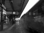 Am Bahnsteig - aufgenommen whrend einer Plandampfaktion am 22. Februar 2002 in Gera Hbf.