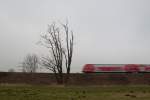 Ein alter Baum bekam am 31.12.15 von mir die Ehre zuteil, mit einem Doppelstock-Steuerwagen verewigt zu werden.