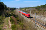 102 001 DB Regio mit RE 4031 (Nürnberg Hbf - Ingolstadt Hbf) bei Allersberg (Rothsee), 25.04.2021