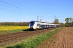 Deutschland
 KrefeldTriebzügen 442 851 + 442 863 von Nationalexpress RE7 17414 Krefeld - Köln Messe, in Bösinghoven
8/4/2026