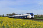 442 365 und 442 357 (National Express) als RE7 Richtung K�ln Messe/Deutz in Meerbusch B�singhoven, 8. April 2026