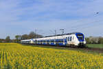442 851 und 442 863 (National Express) als RE7 nach K�ln Messe Deutz in Meerbusch B�singhoven, 8. April 2026