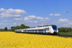 RE7 Richtung K�ln Messe/Deutz am Rapsfeld in Meerbusch B�singhoven, 21. April 2026
