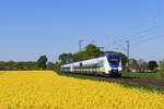 442 357 und 442 866 (National Express) als RE7 nach K�ln Messe/Deutz in Meerbusch B�singhoven, 22.