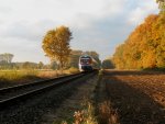 Die Westmnsterland Bahn nach Dortmund fhrt hinter Lette durch eine wunderschne Herbstlandschaft 31.10.2010