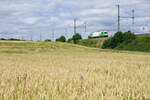 ER20-01 der SETG als Lokzug bei Gutenfürst Richtung Plauen, 21.07.2021
