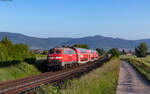 218 438	mit dem RE 12007 (Kaiserslauter Hbf - Karlsruhe Hbf) bei Edesheim 19.5.25