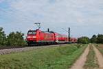 Nachschuss auf 146 114-4  Baden Württemberg erfahren/Landkreis Emmendingen  am 31.08.2015, als sie ihren RE (Basel Bad Bf - Offenburg) bei Hügelheim in Richtung Freiburg schob.