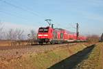 Nachschuss auf 146 236-5  Schwarzwaldbahn Erlebnispfard/Triberg , als diese am 22.12.2016 ihren RE (Basel Bad Bf - Offenburg) bei Hügelheim in RIchtung Buggingen schob.