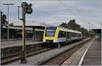 Der hier erst seit wenigen Tagen im Einsatz stehende LINT 622 461 wartet in Radolfzell auf die Abfahrt als RB nach Friedrichshafen. Die LINT VT 622 ersetzen die hier seit einigen Jahren verkehrende VT 650 der DB. 

22. Sept. 2019
  