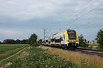 Als RE (Offenburg - Basel SBB) fuhr am späten Nachmittag des 15.06.2020 der 1462 514-9 südlich von Buggingen über die KBS 702 (Rheintalbahn) durchs Makrgräflerland in Richtung