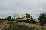 Am Abend des 08.07.2020 fuhr 1462 501-6 zusammen mit dem 1462 003-3 als RegionalExpress nach Basel Bad Bf südlich von Buggingen durchs Rheintal in Richtung Müllheim (Baden).