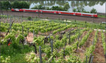 Zwischen Neckar und Weinberghang -    Dosto-Zug zwischen Mettingen und Esslingen am Neckar.