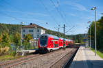 445 082 als RB 59096 (München Hbf - Nürnberg Hbf) beim Halt in Dollnstein, 29.09.2019