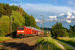 146 245 DB Regio mit dem RE 4860 (München Hbf - Nürnberg Hbf) bei Postbauer-Heng, 01.07.2020