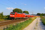 146 241 DB Regio als RE 4864 (München Hbf - Nürnberg Hbf) bei Parsberg, 20.07.2020  