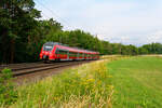 442 245 DB Regio mit der S3 (Nürnberg Hbf - Neumarkt (Oberpf)) bei Burgthann, 02.08.2020