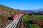 612 593 DB Regio als RE 5286/3086 (Cheb/Hof Hbf - Nürnberg Hbf) bei Hersbruck rechts der Pegnitz, 09.11.2020