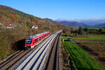 622 049 DB Regio als RB 58522 (Neuhaus (Pegnitz) - Nürnberg Hbf) bei Hersbruck rechts der Pegnitz, 09.11.2020