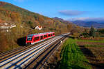 622 047 DB Regio als RB 58524 (Neuhaus (Pegnitz) - Nürnberg Hbf) bei Herbruck rechts der Pegnitz, 09.11.2020