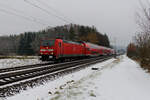 146 232 DB Regio mit RE 4856 (München Hbf - Nürnberg Hbf) bei Postbauer-Heng, 12.01.2020