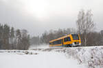 1648 207 DLB als OPB 79726 (Regensburg Hbf - Marktredwitz) bei Wiesau (Oberpf), 26.01.2021