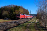 146 243 DB Regio mit dem RE 4858 (München Hbf - Nürnberg Hbf) bei Postbauer-Heng, 02.03.2021