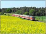 Eine etwas andere Perspektive mit einer Regionalbahn nach Plattling,und mit einer gelben Hose nachdem ich das Bild im  Kasten  hatte.(23.05.2009)