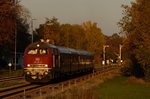 Feinstaub mit Herbstlaub im letzten Abendlicht.