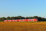 Der Twindexx-Vario 445 XXX von Rostock Hbf nach Elsterwerda am 31.08.2018 in Nassenheide.