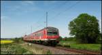 Ein Zug der RE18 Cottbus - Dresden Hbf passiert den eingleisigen Abschnitt zwischen Groenhain und Priestewitz, 12.05.08.