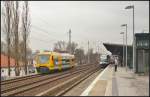 ODEG VT 650.78 als RB60 nach Frankfurt (Oder) und NEB VT 738 am 18.02.2013 in Berlin-Karow