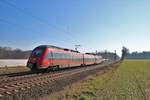 DB Regio Bombardier Talent2 442 112 am 16.02.19 bei Bruchköbel (Main Kinzig Kreis)