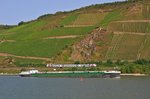 Unbekannter DB-Regio-Triebzug der BR 429 als RE 2 (4259)  SÜWEX  Koblenz Hbf - Frankfurt (Main) Hbf am  Bopparder Hamm zwischen Spay und Boppard 09.09.16.